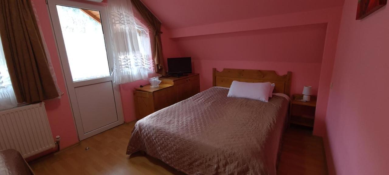 Pensiunea Aurora - Great Hostel Voineasa Extérieur photo