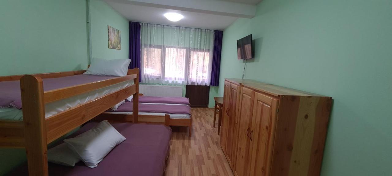 Pensiunea Aurora - Great Hostel Voineasa Extérieur photo