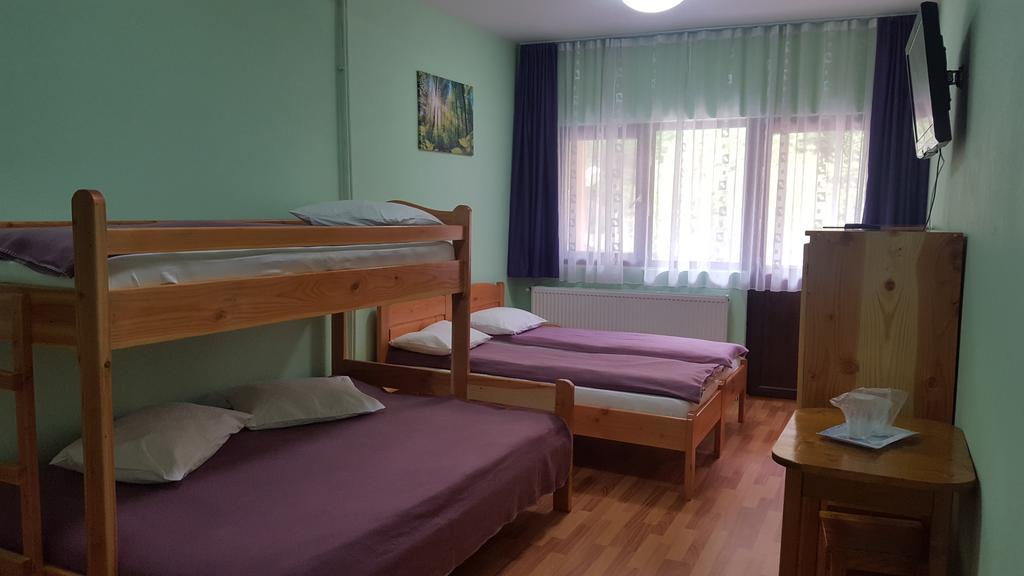 Pensiunea Aurora - Great Hostel Voineasa Extérieur photo